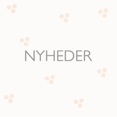 NYHEDER
