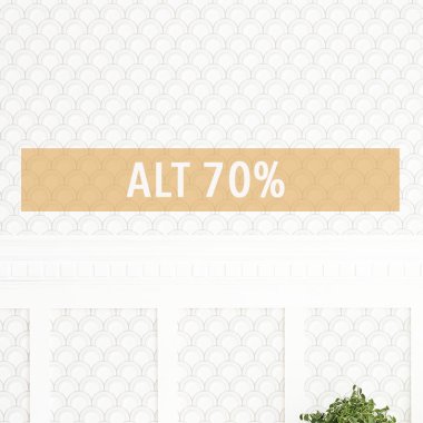 UDSALG 70% p&aring; alt