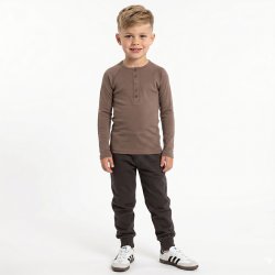 Alban bluse - Bison
