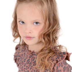 Anni bluse - Leopard Rose