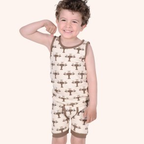 Asben undertj - Bison & Sandshell