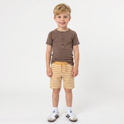 Avito T-shirt - Bison