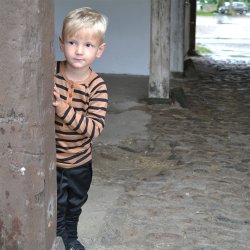 Doby Bluse - Lion &amp; Black