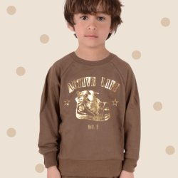 Jeff sweatshirt - Bison