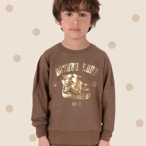 Jeff sweatshirt - Bison