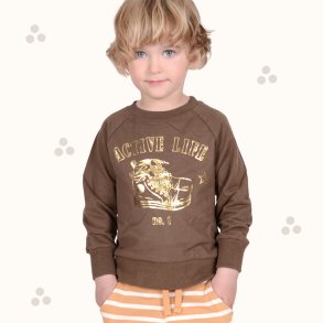 Jeff sweatshirt - Bison