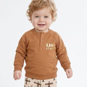 Zag sweatshirt - Lion