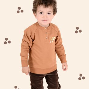 Zag sweatshirt - Lion