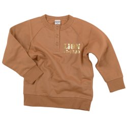 Zag sweatshirt - Lion