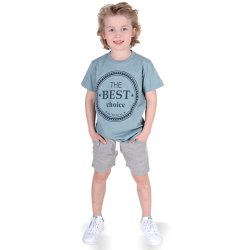 Dale T-shirt - Dove Blue